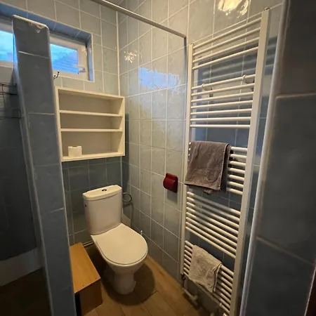 Sýkora *