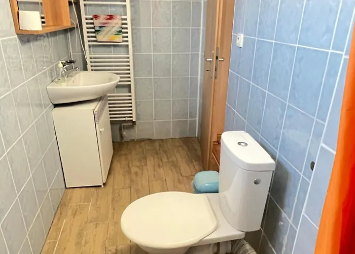 Sýkora *
