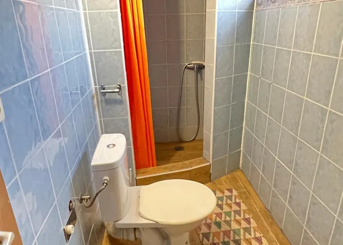 Sýkora * Veľký Meder