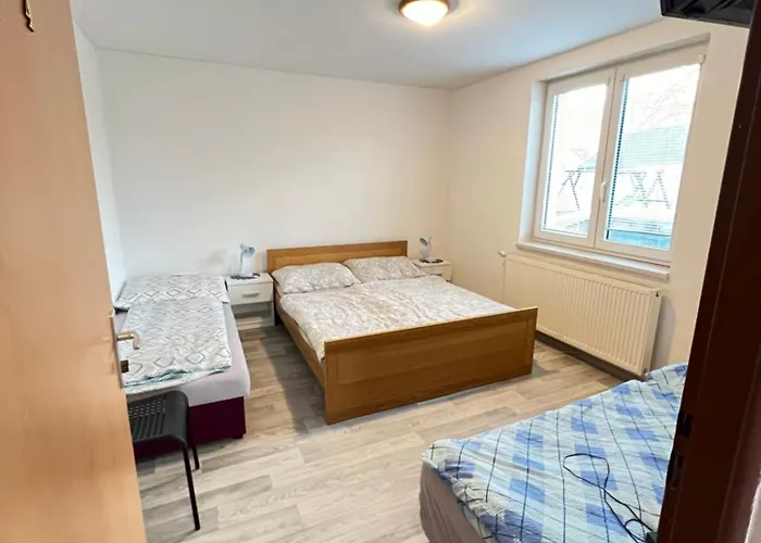 Sýkora Veľký Meder