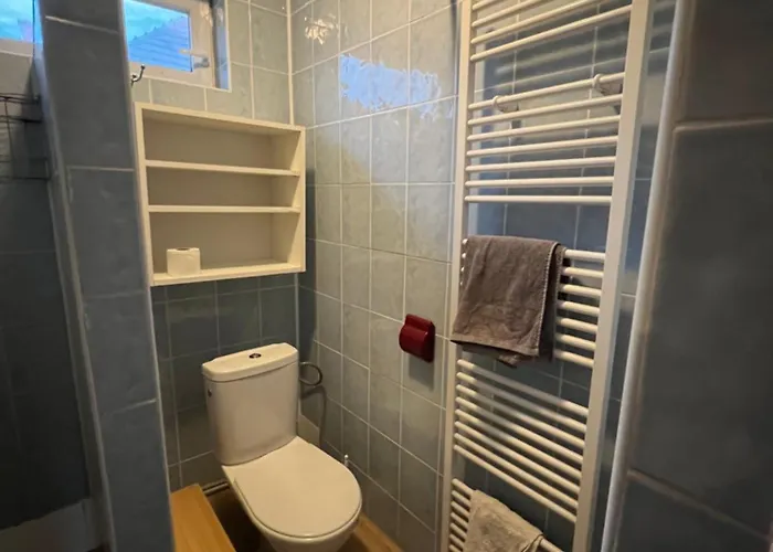 Sýkora *